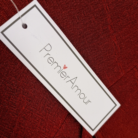 NWT Premier Amour Midi Dress in Merlot Size 16 - Picture 4 of 8